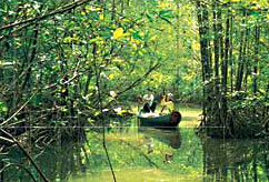 Khu du lịch sinh thái Vàm Sát