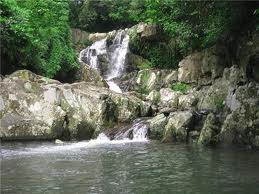 Khu du lịch Suối Mơ